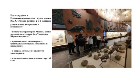 В Палеонтологическом музее имени Ю.А. Орлова
