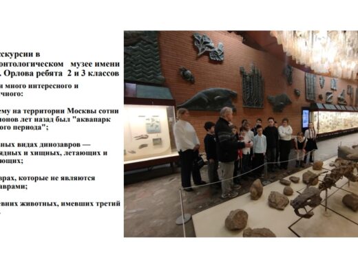 В Палеонтологическом музее имени Ю.А. Орлова