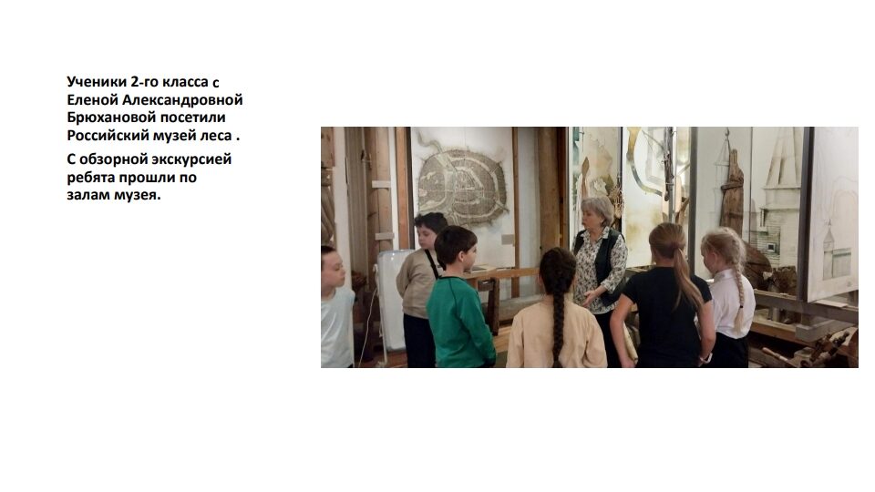 Экскурсия в Российский музей леса