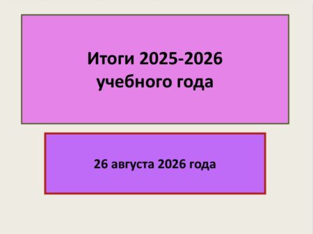 Публичный доклад директора ФЭШ
